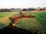 Greenwood Reforestation: Fall 2004 