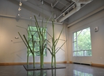 Turfgrass: Anne Marie Installation 